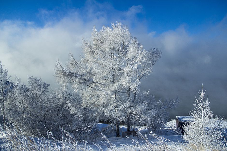 Зима в Листвянке