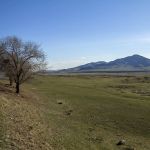 Природа Монголии