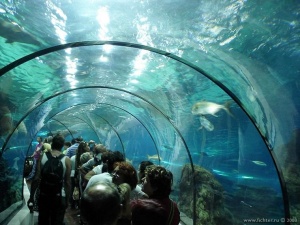 Барселонский аквариум